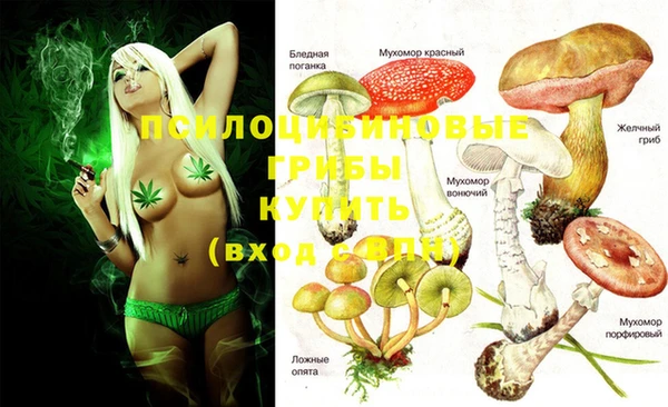 метамфетамин Алексеевка