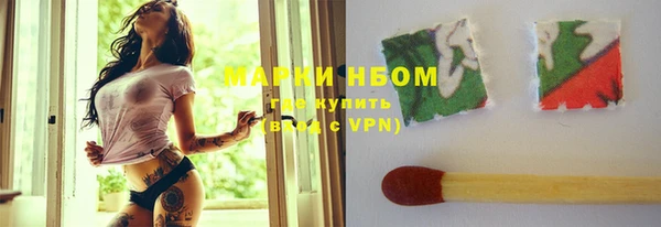 крисы Алзамай