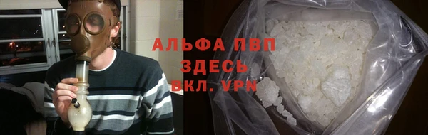 крисы Алзамай